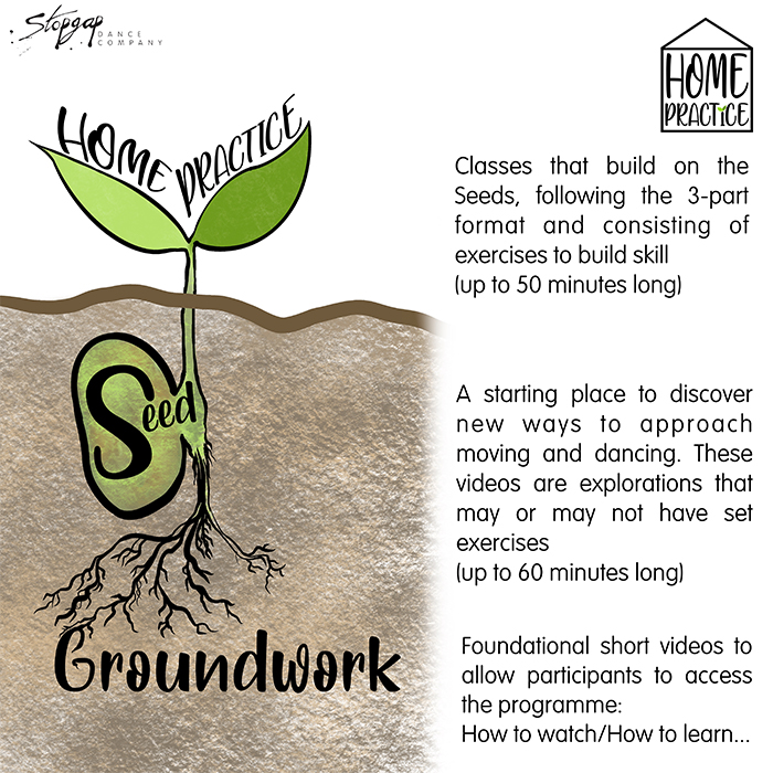A cross section drawing of a seedling, with roots below and two little leaves above ground. Next to the drawing is text explaining Seed, a collection of videos that introduce and research further into the fundamentals of Inclusive Contemporary Dance for instance; surface work, touch, being seen, dancing with texture and finding mobility.